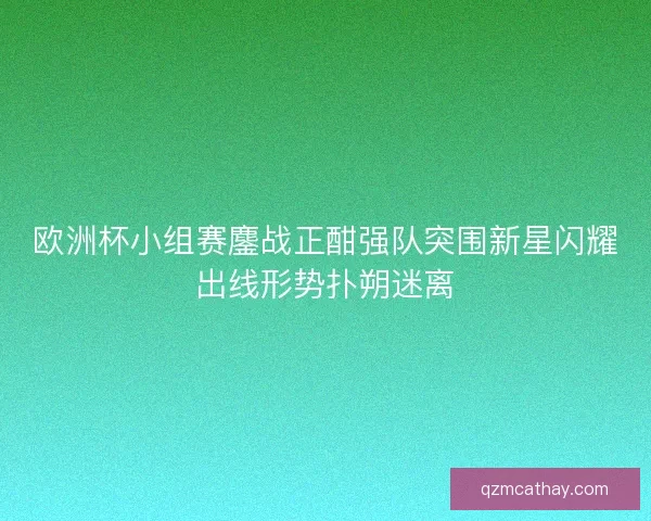 欧洲杯小组赛鏖战正酣强队突围新星闪耀出线形势扑朔迷离